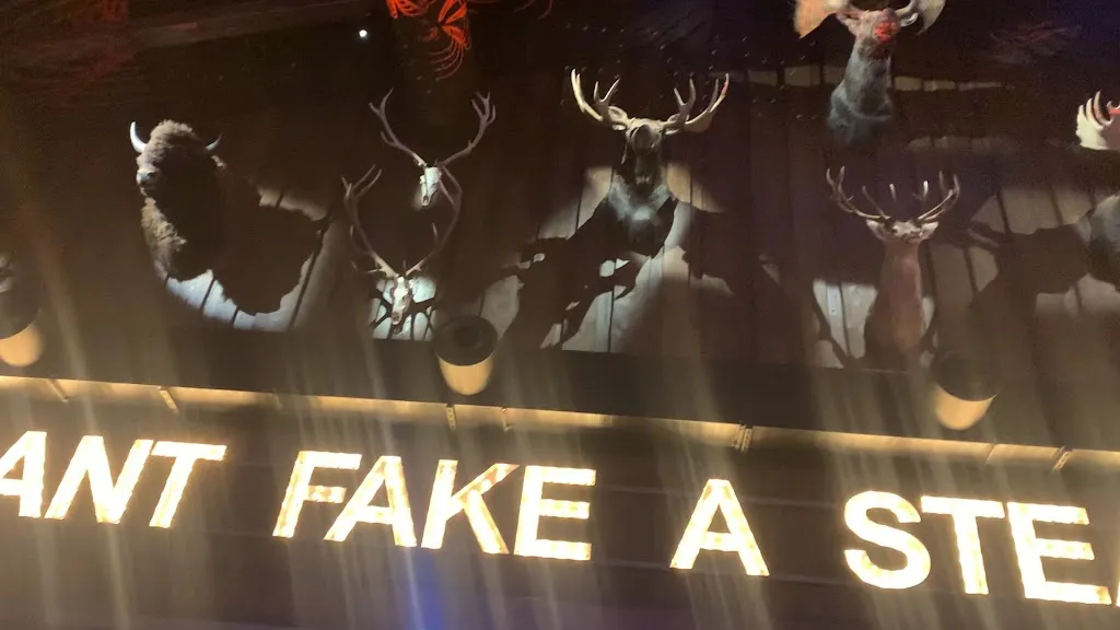 Timberjacks Bad Hersfeld_Hersfeld_slider_image_2