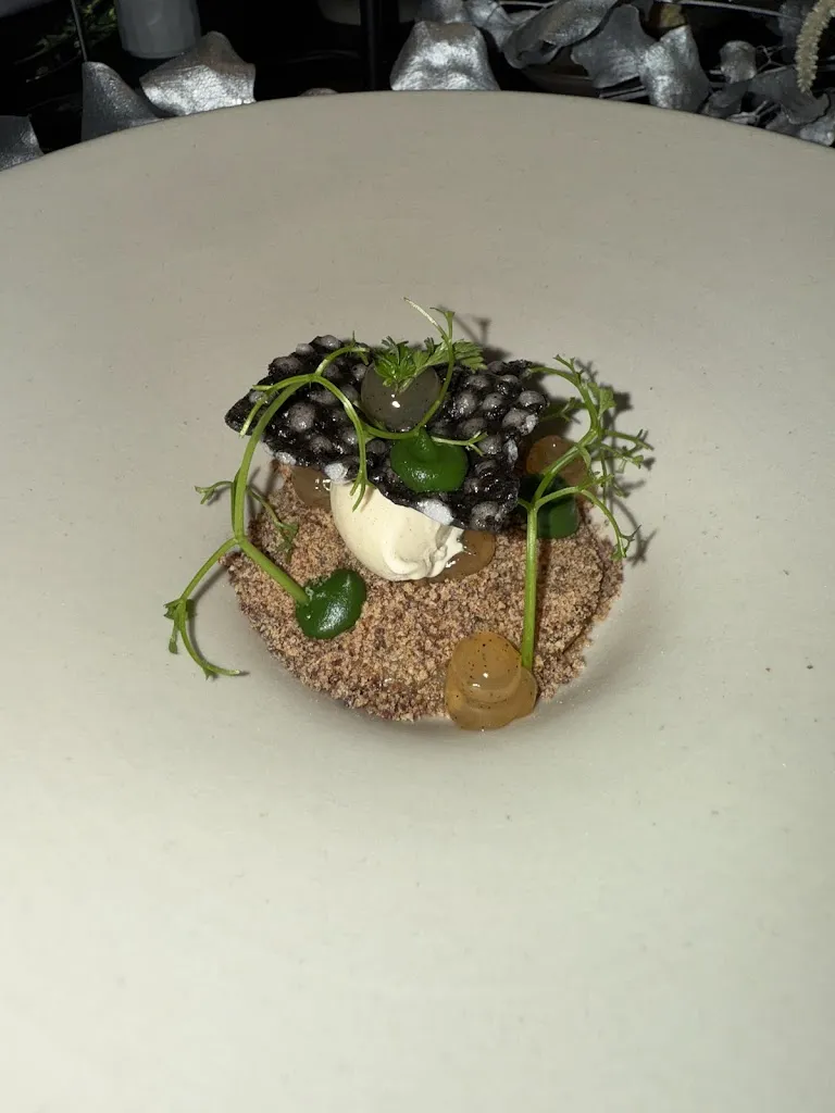 Menu_FOGO e ÁGUA_Orb_image_2