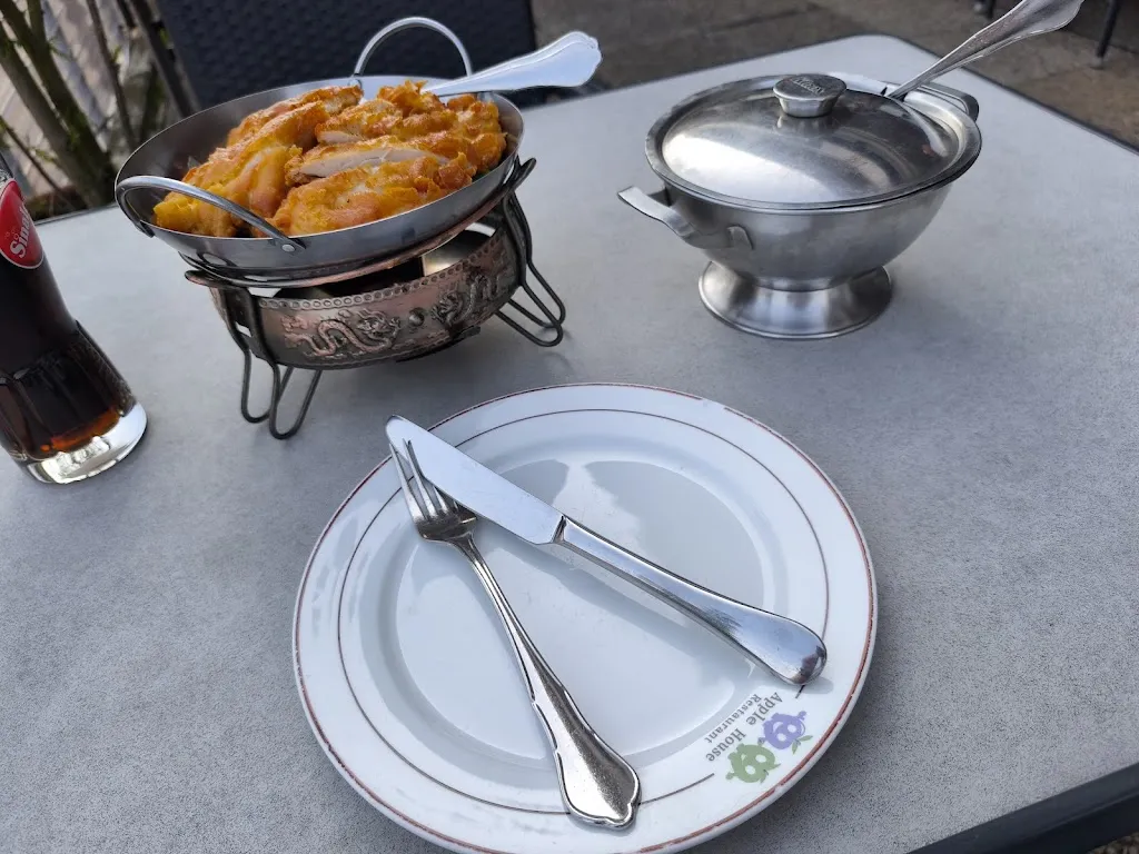 Ilu_China-Restaurant Aromapanda_Wildungen_review