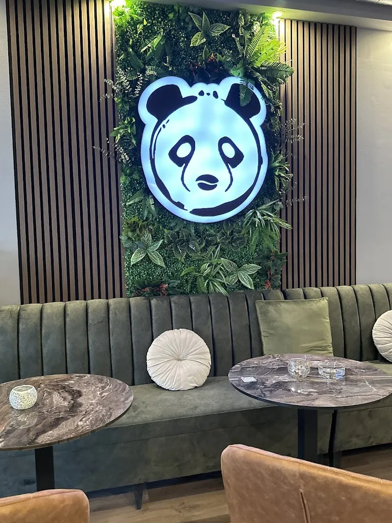 Ali Daneshvar_Buon Mera_Main_review