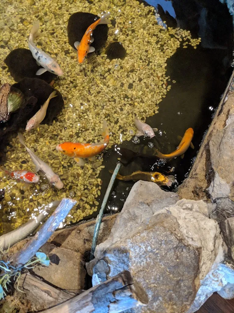 Menu_Chinarestaurant Pavillon_Bensheim_image_7