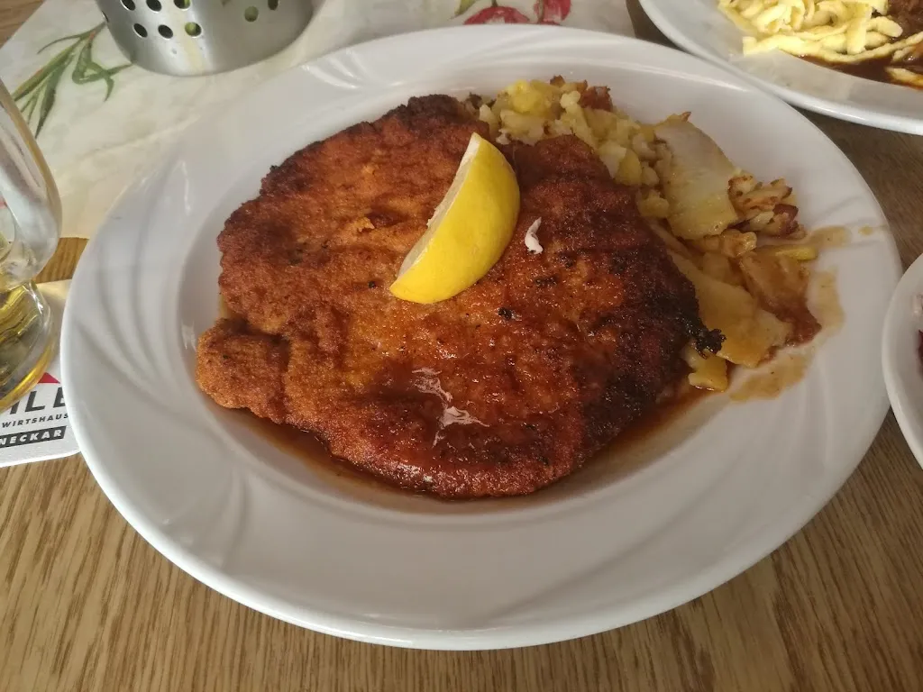 Mariana Sánchez Carranza_Dächle - Das schwäbische Wirtshaus_Neckar_review