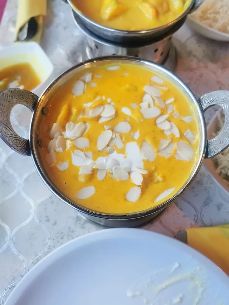 Menu_Welcome Indian Restaurant_Rhein_image_8