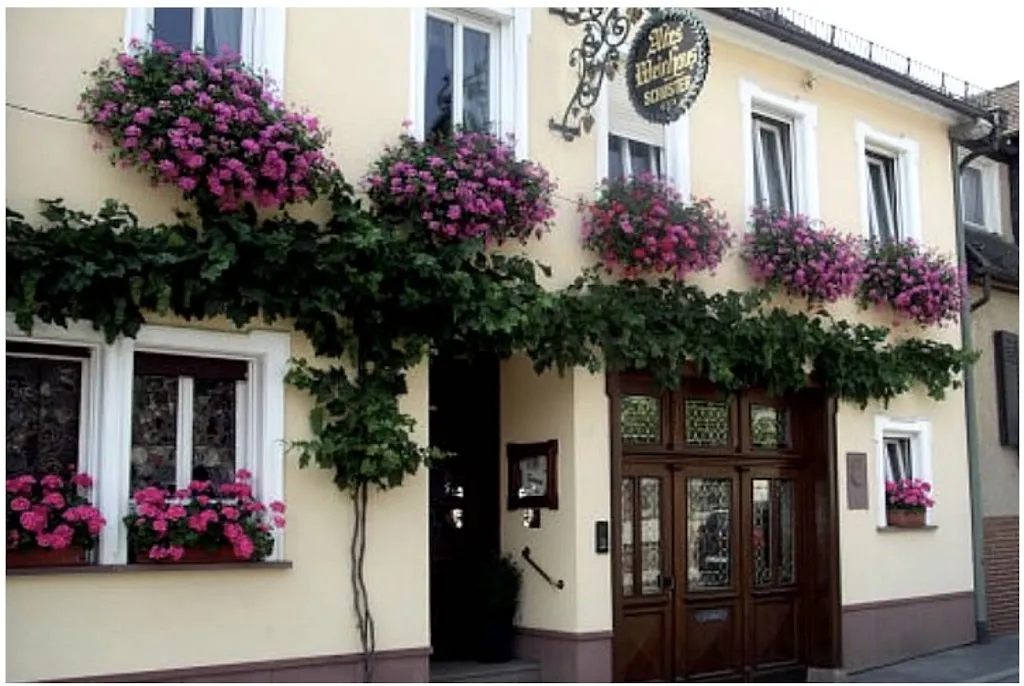 Weinhaus Schuster_Rhein_slider_image_3