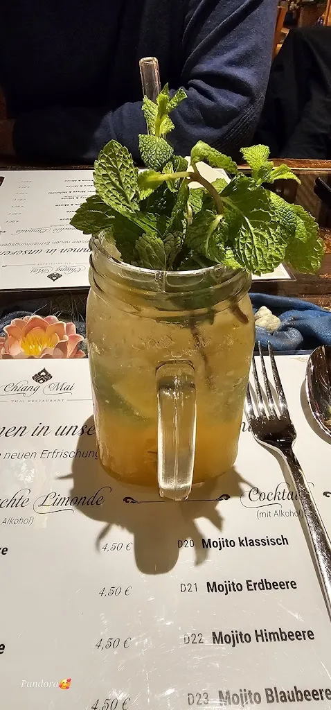 kyle pandora_Thai Restaurant Chiang Mai_Griesheim_review