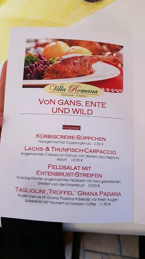 Menu_Villa Romana_Hainburg_image_2