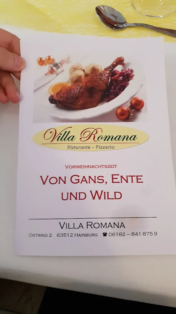 Menu_Villa Romana_Hainburg_image_4