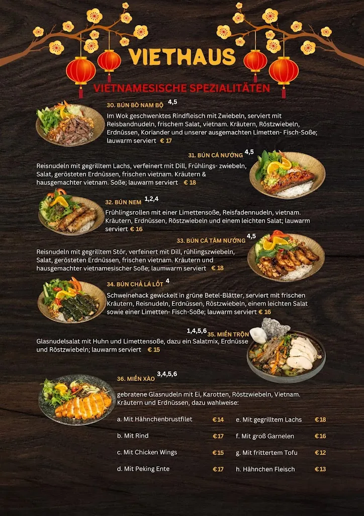 Menu_Viethaus Restaurant_Herborn_image_3
