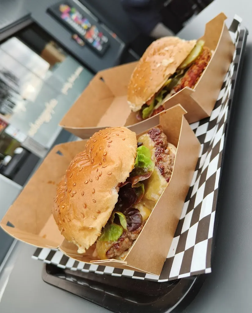 Gwenhwyfar E._Schmaggo_Herborn_recensione