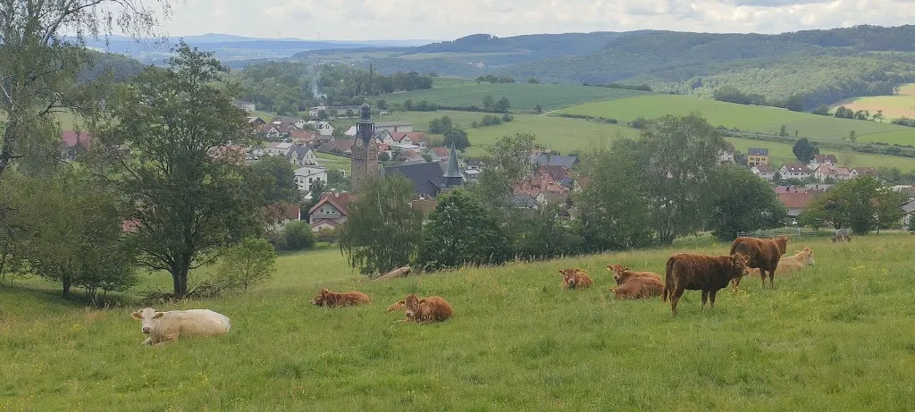 Zum Schwarzen Adler_Hofbieber_slider_image_2