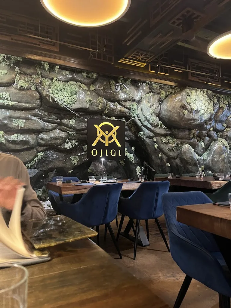 Nizare DAMOUMAT_OJIGI - Japanisches Restaurant Mannheim_Mannheim_review