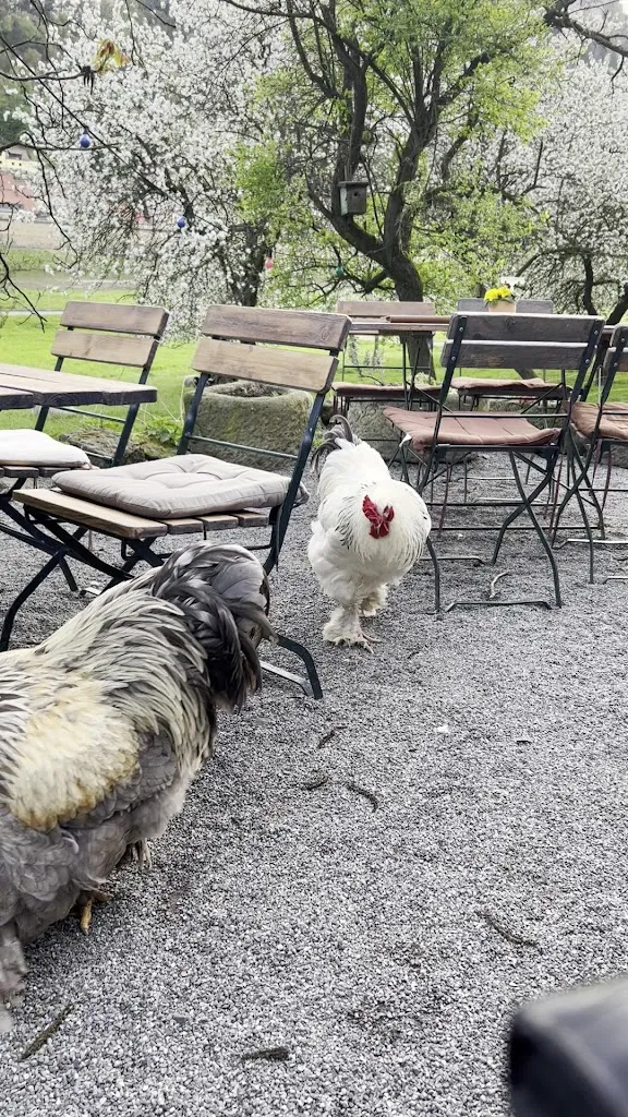 DAS STEINGUT_Königstein_slider_image_2