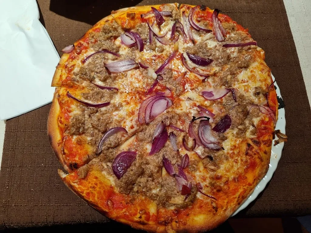 Bernd S._L´Olivo_Messel_review