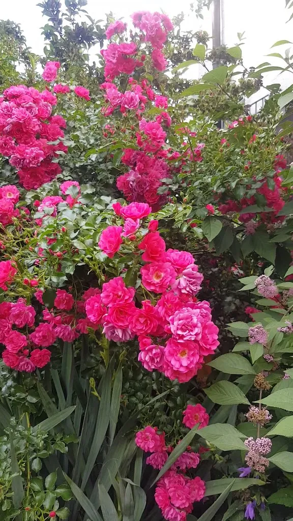 Gasthaus Zum Löwen_Münzenberg_slider_image_2