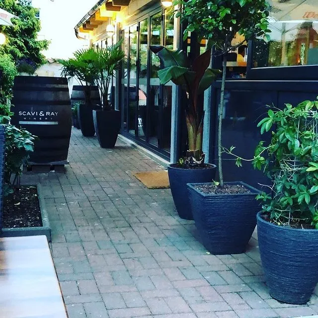 Ristorante Italiano Tennispark restaurant in Main