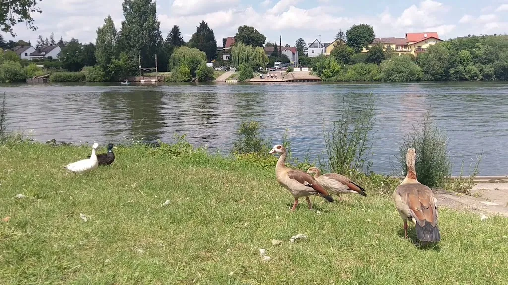 Riverside_Main_slider_image_2