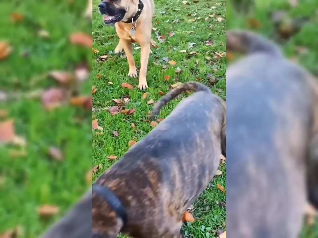 Zum Grünen See Eck_Main_slider_image_2