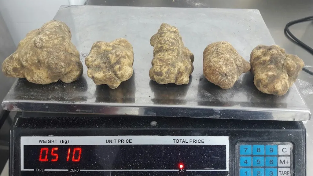 Menu_Il Trullo D'Oro_Mörlenbach_image_6