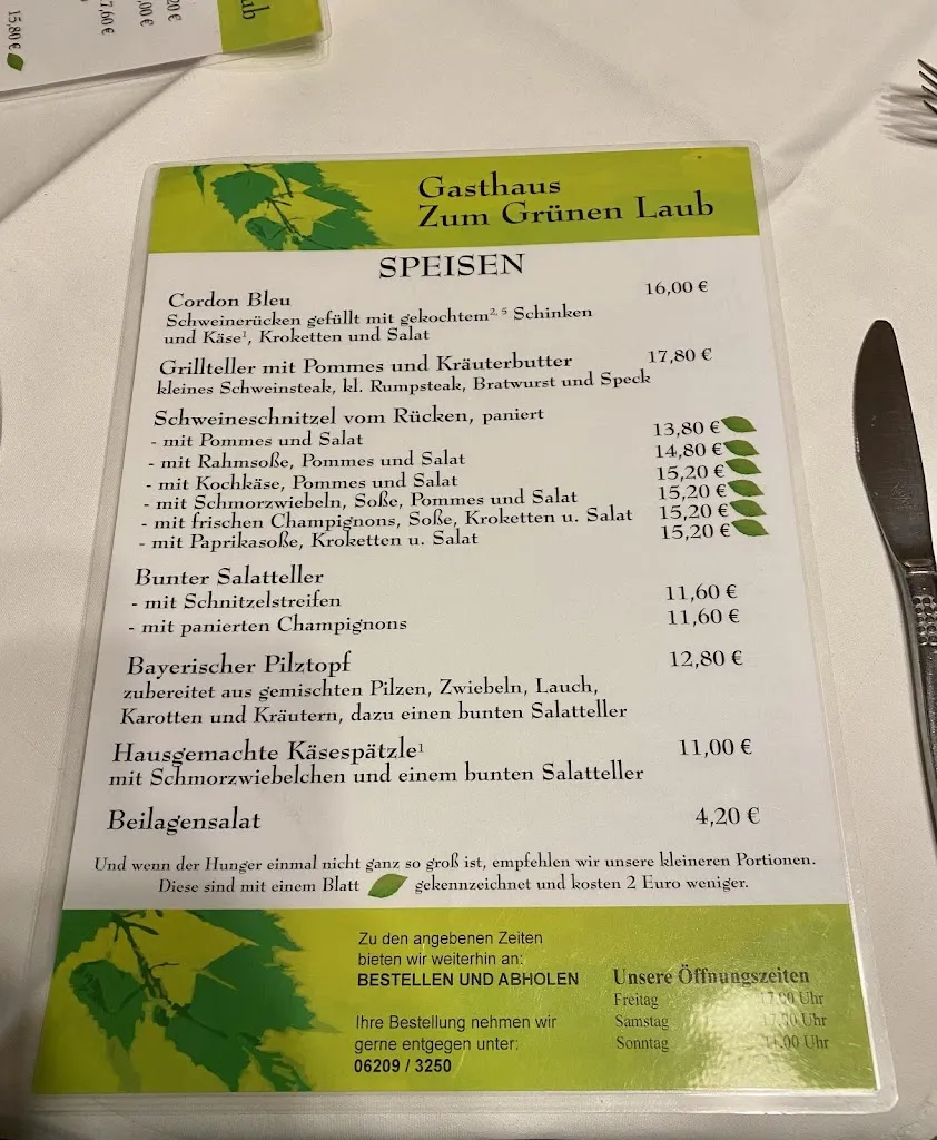 Menu_Gasthaus Zum Grünen Laub_Mörlenbach_immagine_1