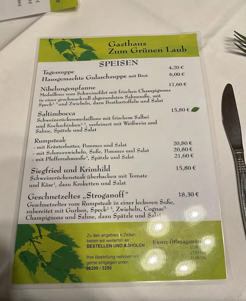 Menu_Gasthaus Zum Grünen Laub_Mörlenbach_immagine_3