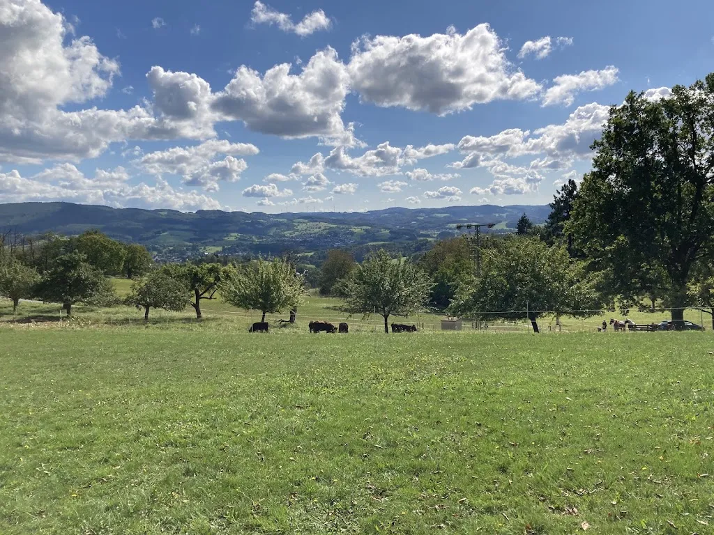 Rasthütte Alzenau_Rimbach_slider_image_2