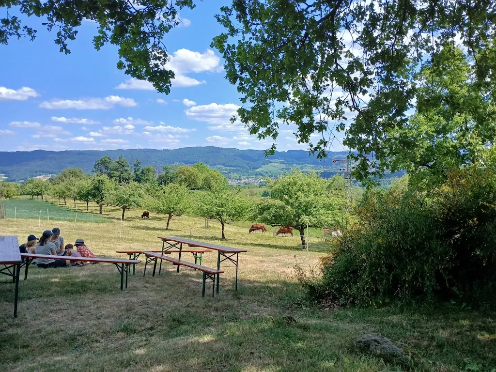Rasthütte Alzenau_Rimbach_slider_image_3