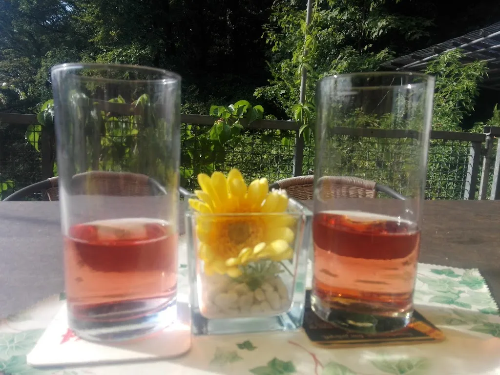 Menu_Mannheimer Huette_Neckarsteinach_image_7