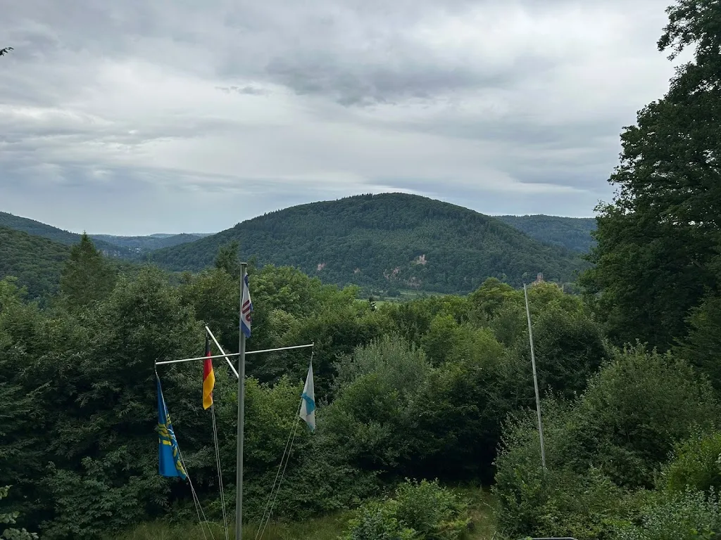 Hannes Steffen Henn_Mannheimer Huette_Neckarsteinach_review