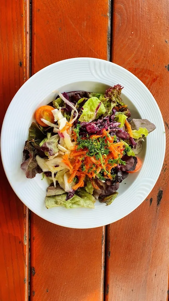 Menu_Gasthaus zum Schwanen und Schwanengarten_Neckarsteinach_image_6