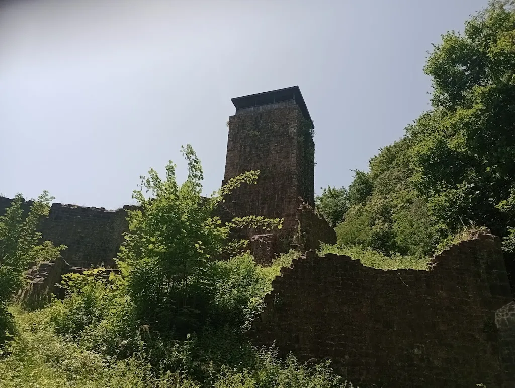 Neckarsteinach Altstadt_Neckarsteinach_slider_image_2