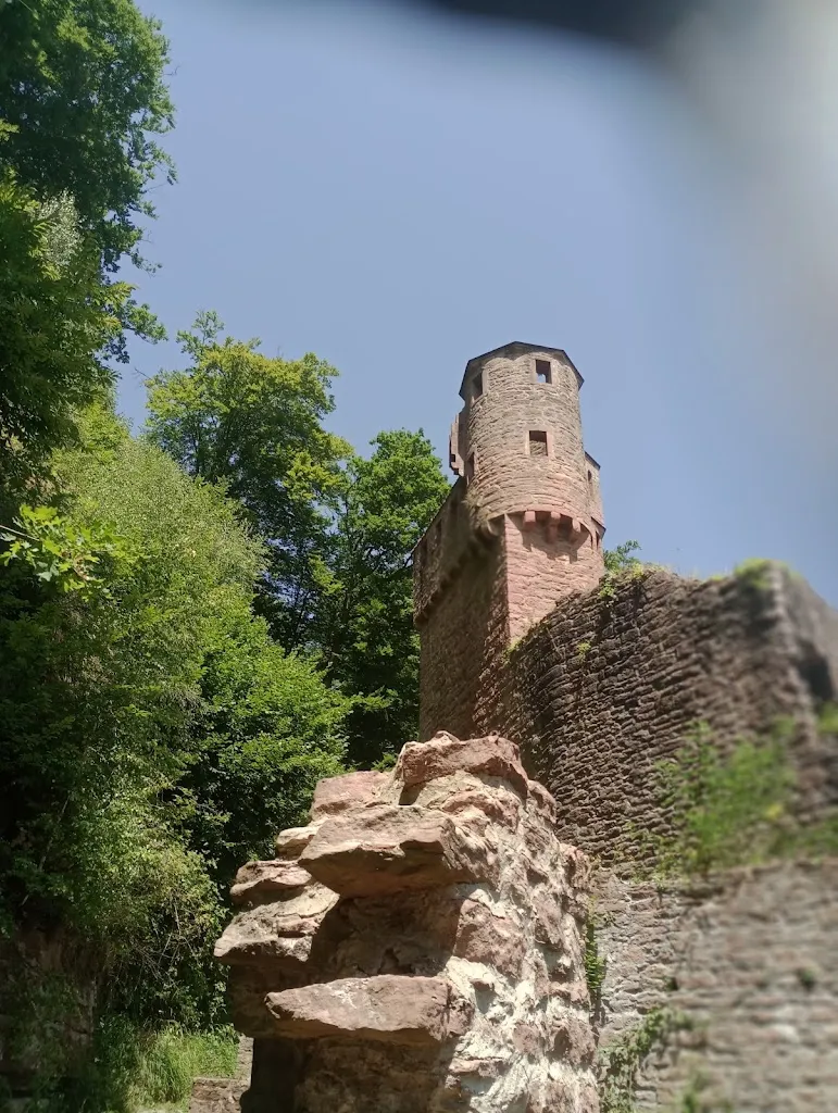 Neckarsteinach Altstadt_Neckarsteinach_slider_image_3