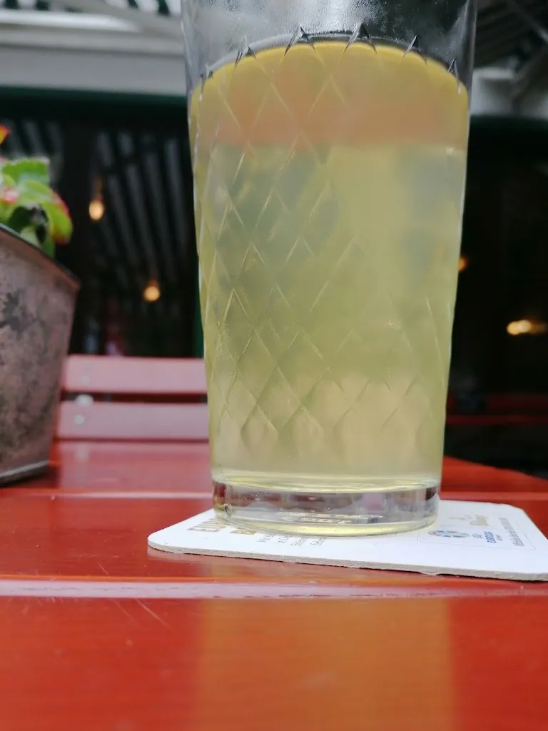 Menu_Apfelwein-Föhl_Neu-Isenburg_immagine_5