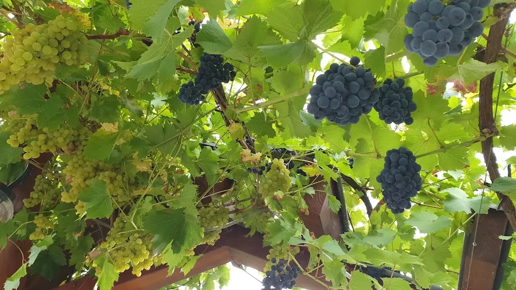 Menu_Flair Hotel & Restaurant Villa Ilske_(Saale)_immagine_1