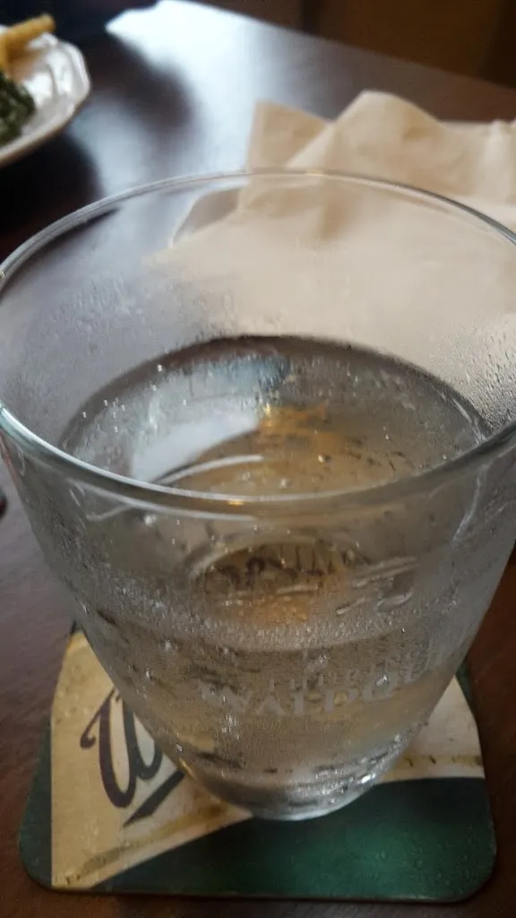 Menu_Zum Wehrdamm_(Saale)_image_8