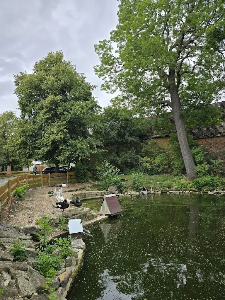 Gitti_Landgasthof Gieckau_Wethau_review