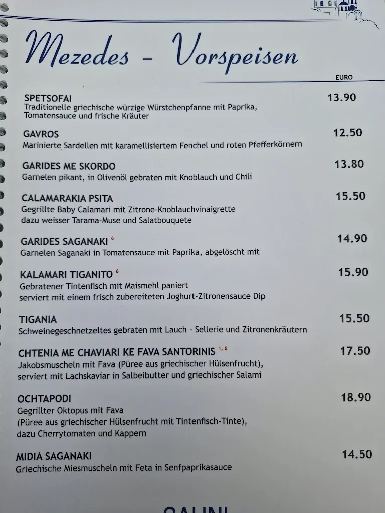 Menu_GALINI_Nidderau_immagine_1