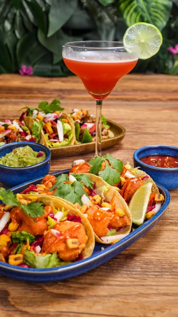 Enchilada_Münster_slider_image_3