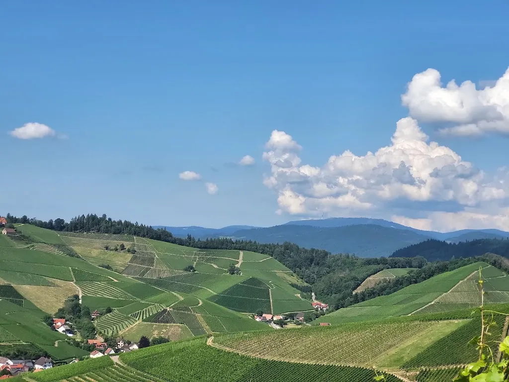 Weingut und Straußwirtschaft Sieferle_Ortenberg_slider_image_3