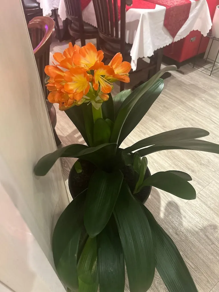 Qilin China-Restaurant_(Werra)_slider_image_3