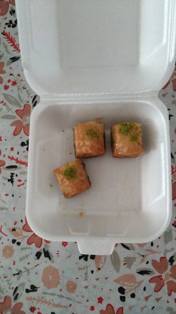 Menu_Ebrar Restaurant_Ranstadt_immagine_6