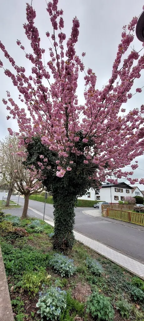 Heike Hoffner_Bürgerhaus Ober-Mockstadt_Ranstadt_review