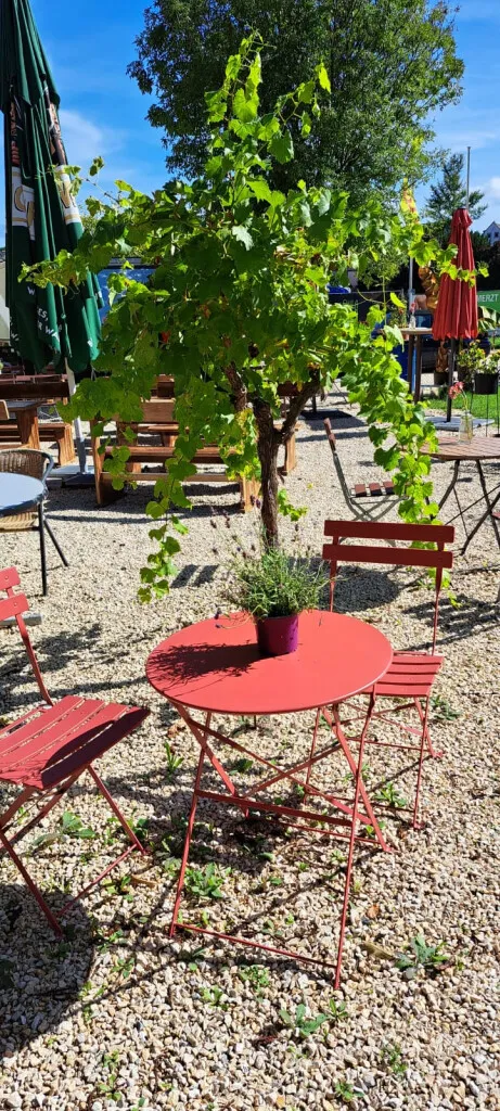 Bruzzlstubb restaurant in (Odenwald)