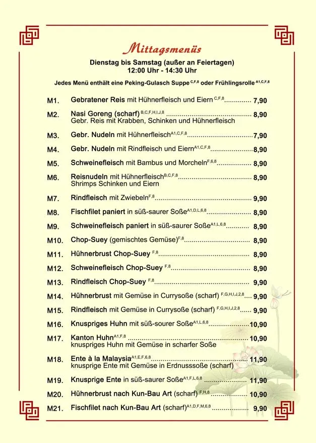 Menu_Restaurant Chinatown_Reinheim_immagine_1