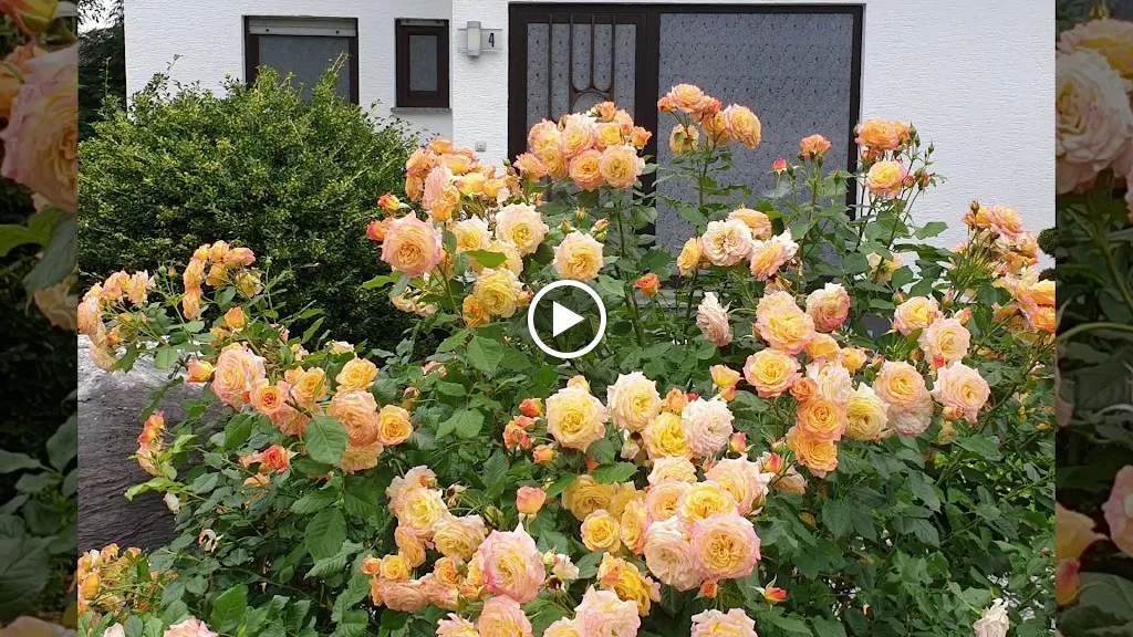 Fischmarkt Mare Azzurro - Offenbach am Main restaurant in Main