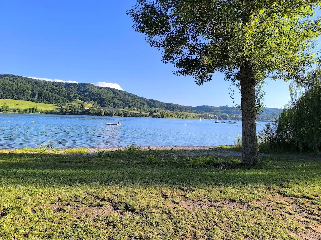 Star light City_Höri Bistro - Öhningen_Öhningen_review