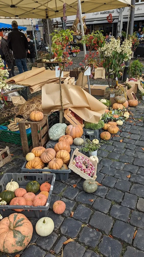Menu_Markthaus am Wilhelmsplatz_Main_image_9