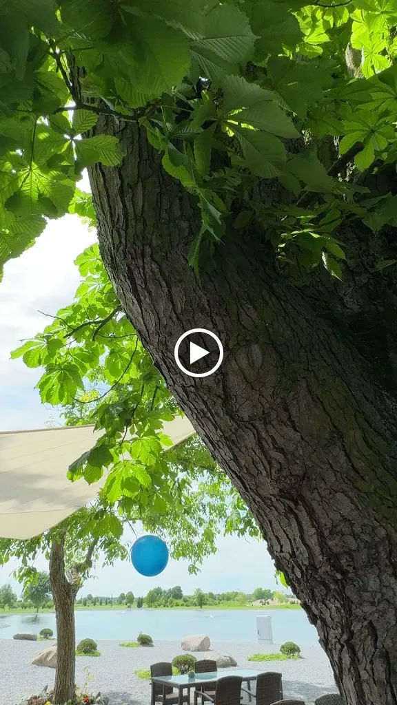 Restaurant Hof Hayna_Riedstadt_slider_image_2