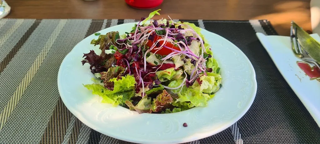 Menu_Restaurant Zum Weinbrunnen - Guy Peube_Allensbach_immagine_5