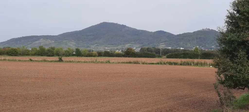 J.J. “JJS”_Coffee, tea & Co_Pfungstadt_review