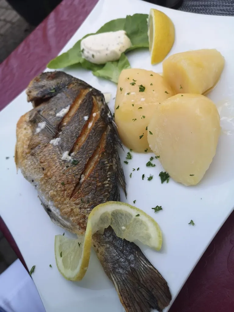 Menu_Dalmatia_Rodgau_immagine_1